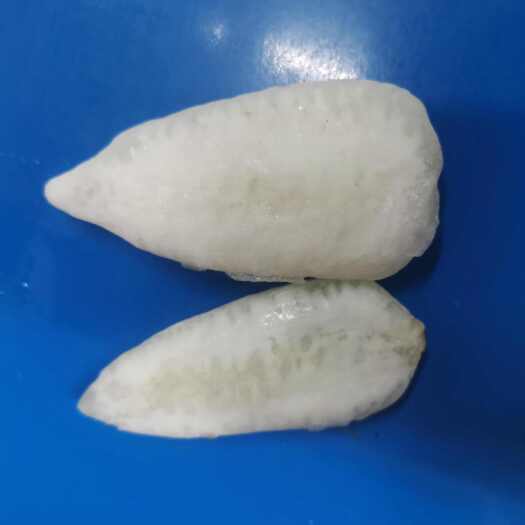 广州竹叶胶开片胶黄花胶水发花胶