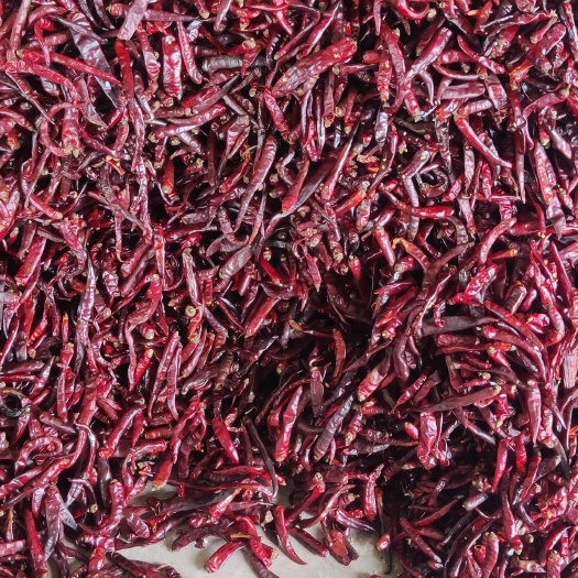 贵阳花溪辣椒上通货（有烟熏味介意勿拍）