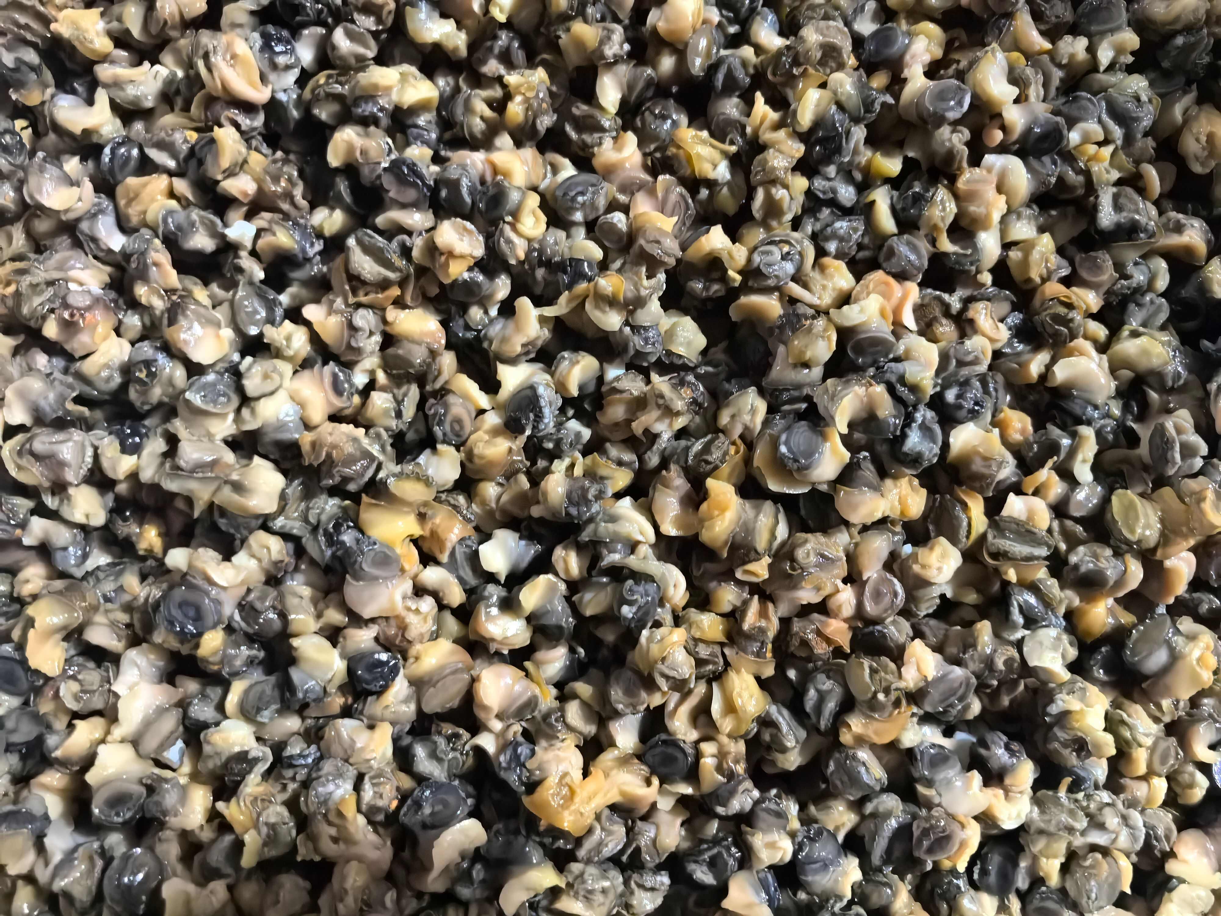 新鲜螺肉 江西九江特产 农副水产干货 高品质食材来源永修县