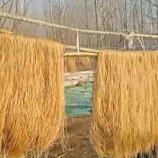 开封开封西瓜红红薯粉条8000斤，欢迎采购