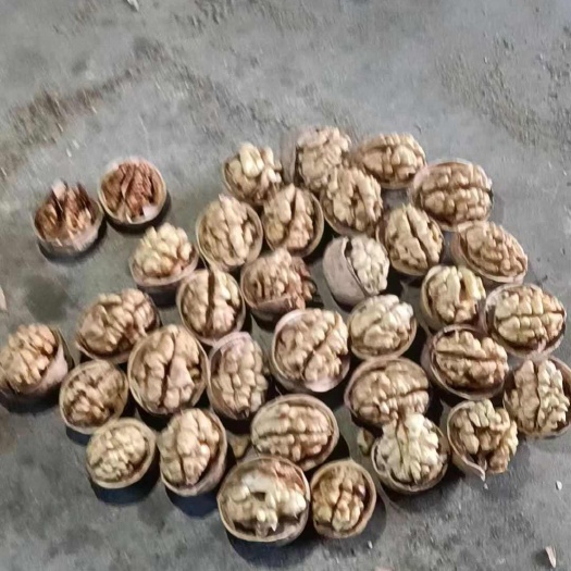 疏勒县185纸皮 核桃