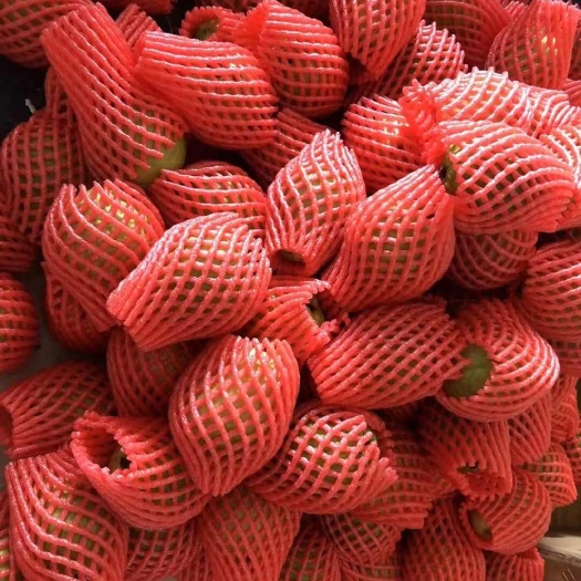 红心白心芭乐都有货，量大从优