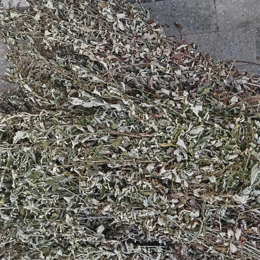 艾草，