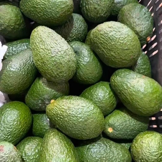 泸西县哈斯牛油果。一切代发