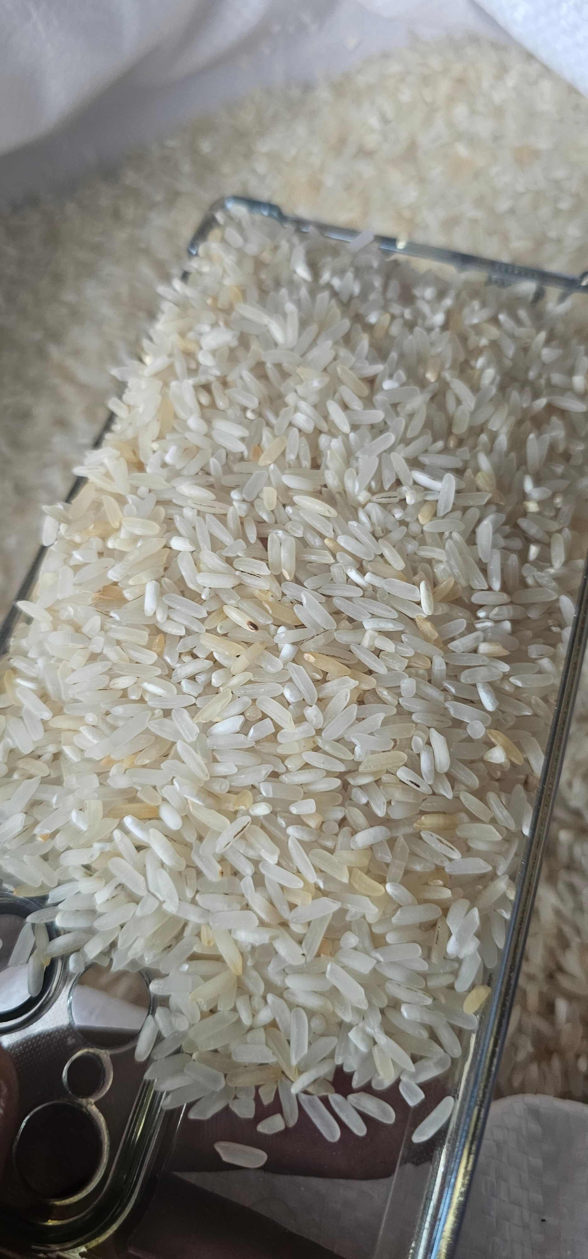 酒米