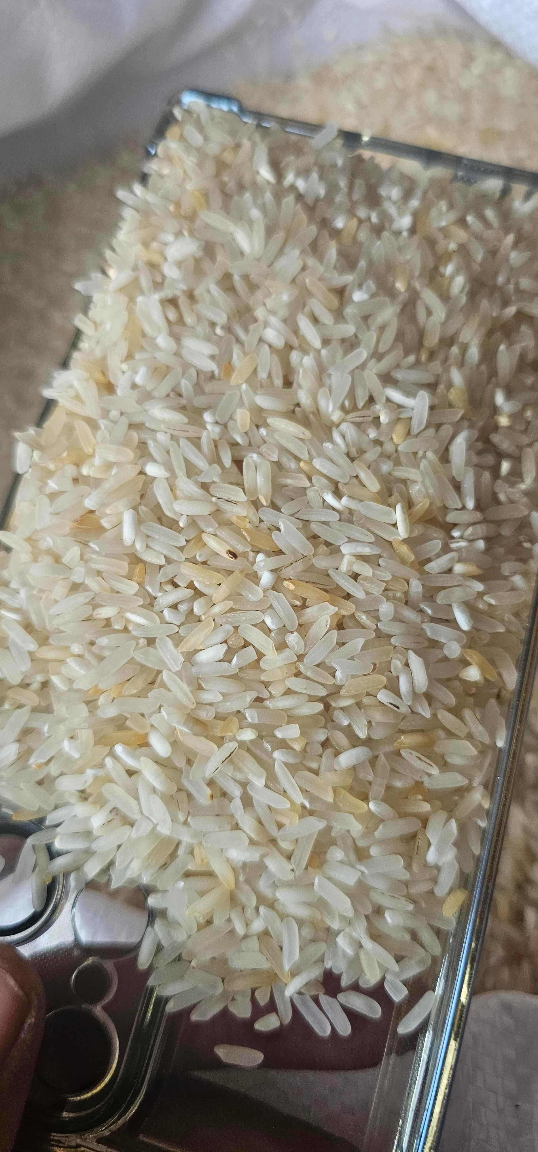 酒米