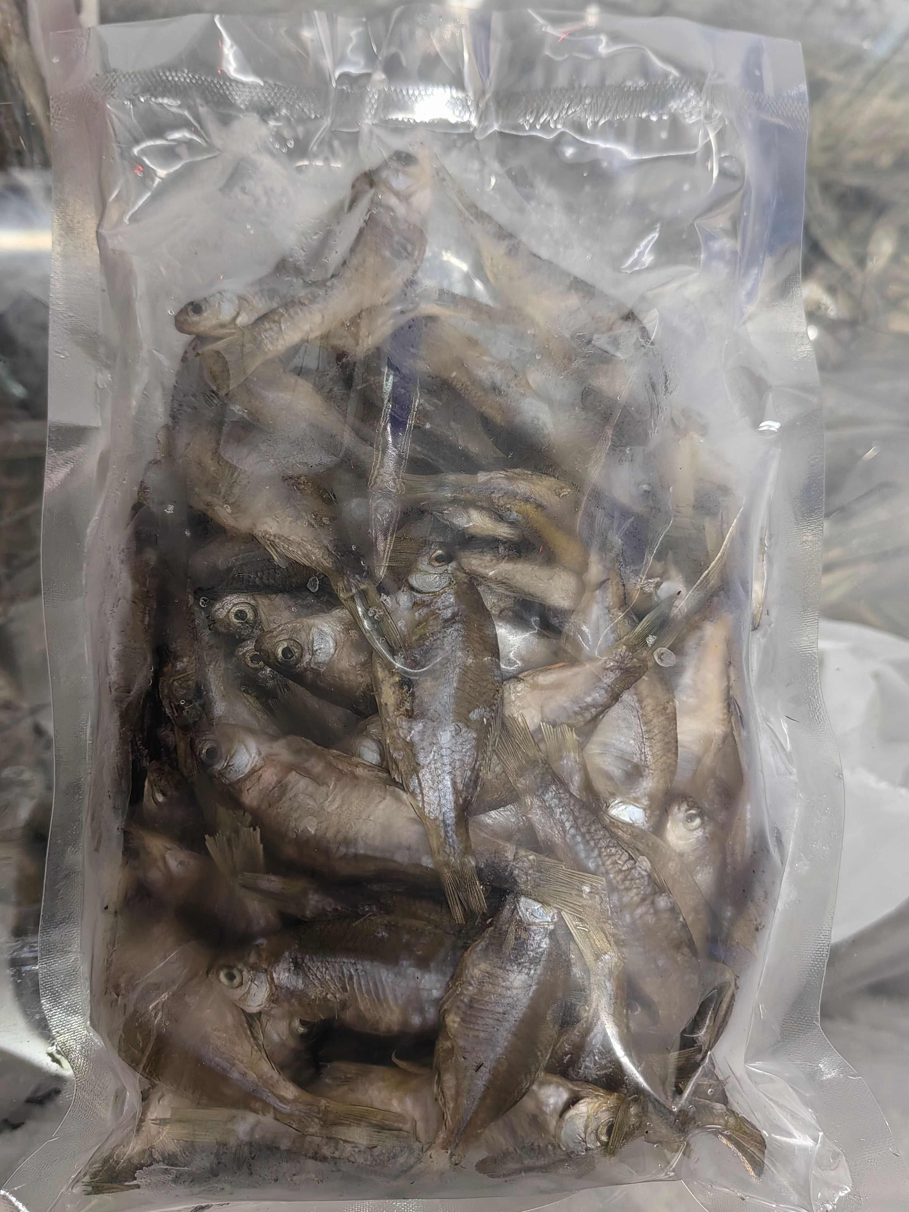 风干鳑鲏鱼 屎光皮鱼