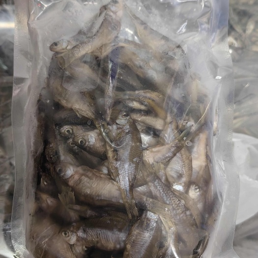 荆门风干鳑鲏鱼 屎光皮鱼