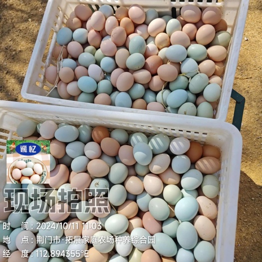 放养富硒土鸡蛋，初生蛋
