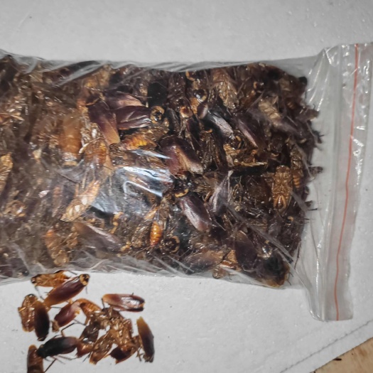 绵阳干品