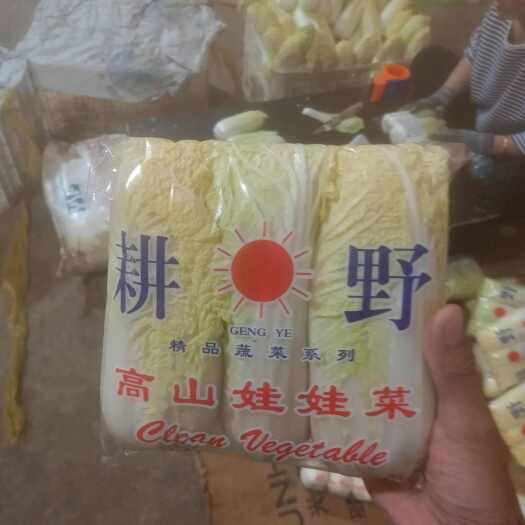 邯郸精品娃娃菜