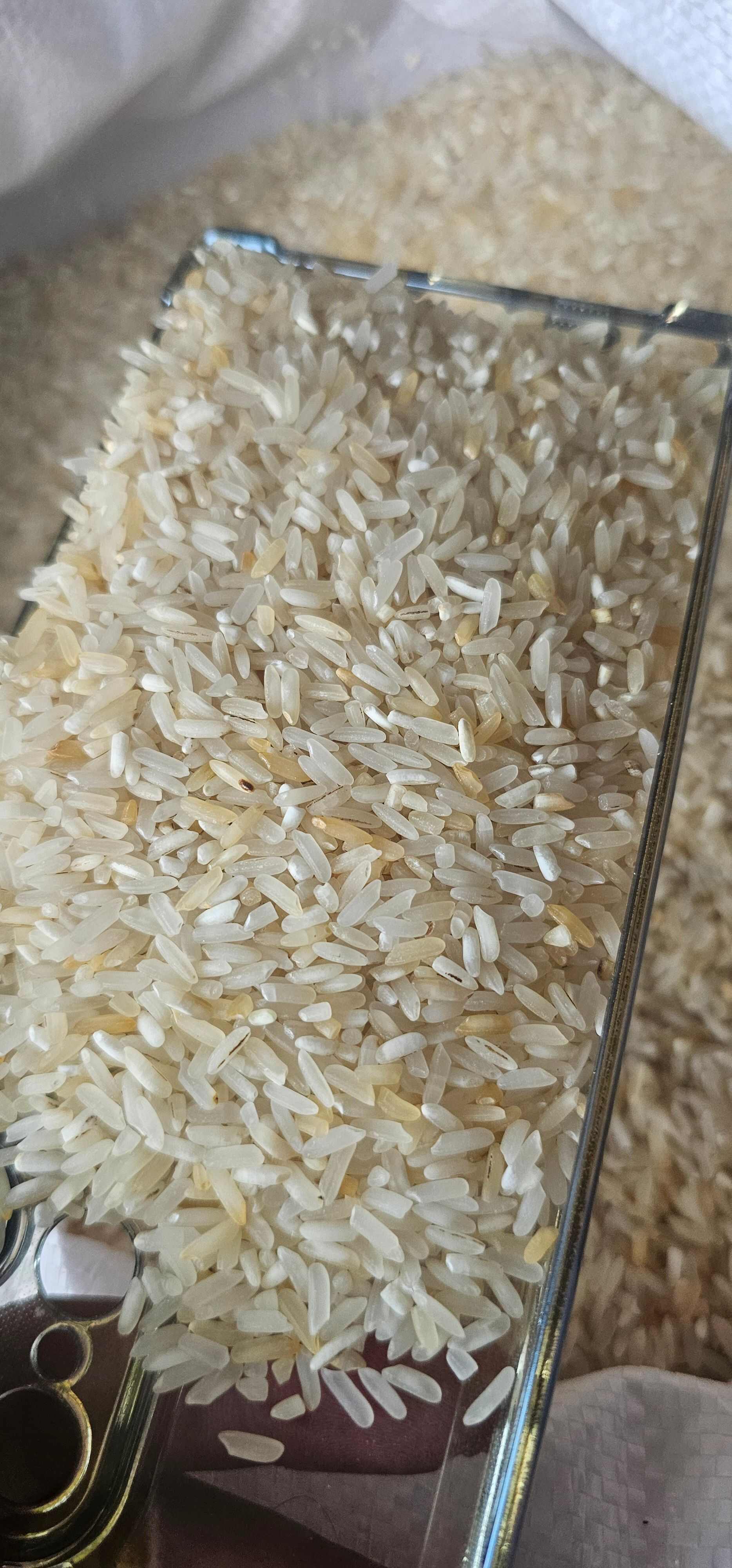 酒米