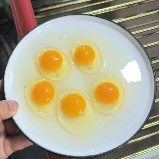 馆陶县鸡蛋