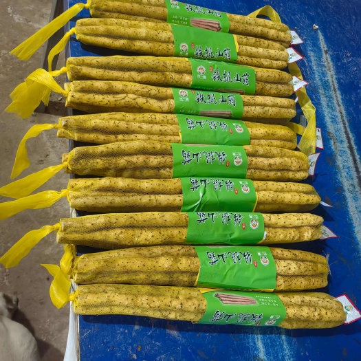 安平县精品小白嘴山药山药豆