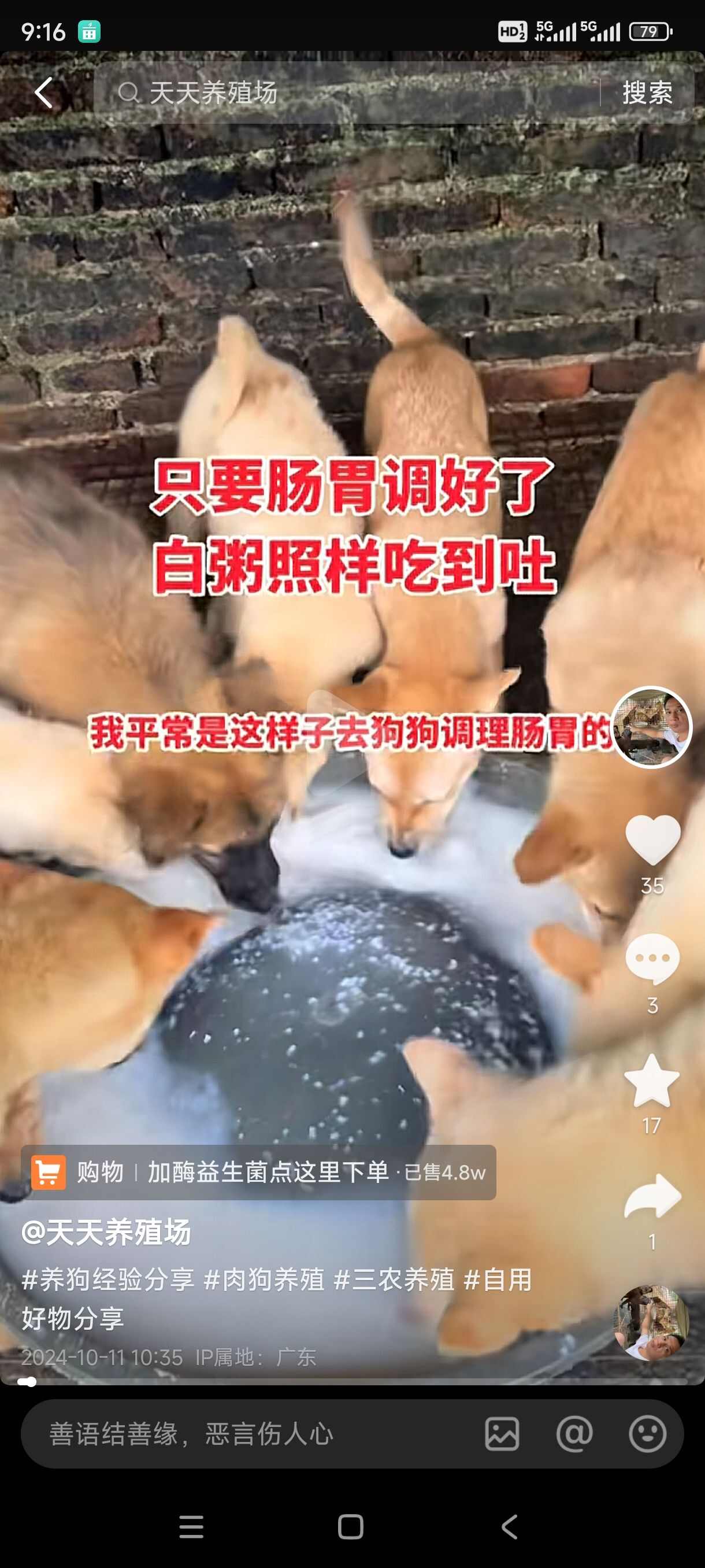 海南150天出栏的肉狗出售