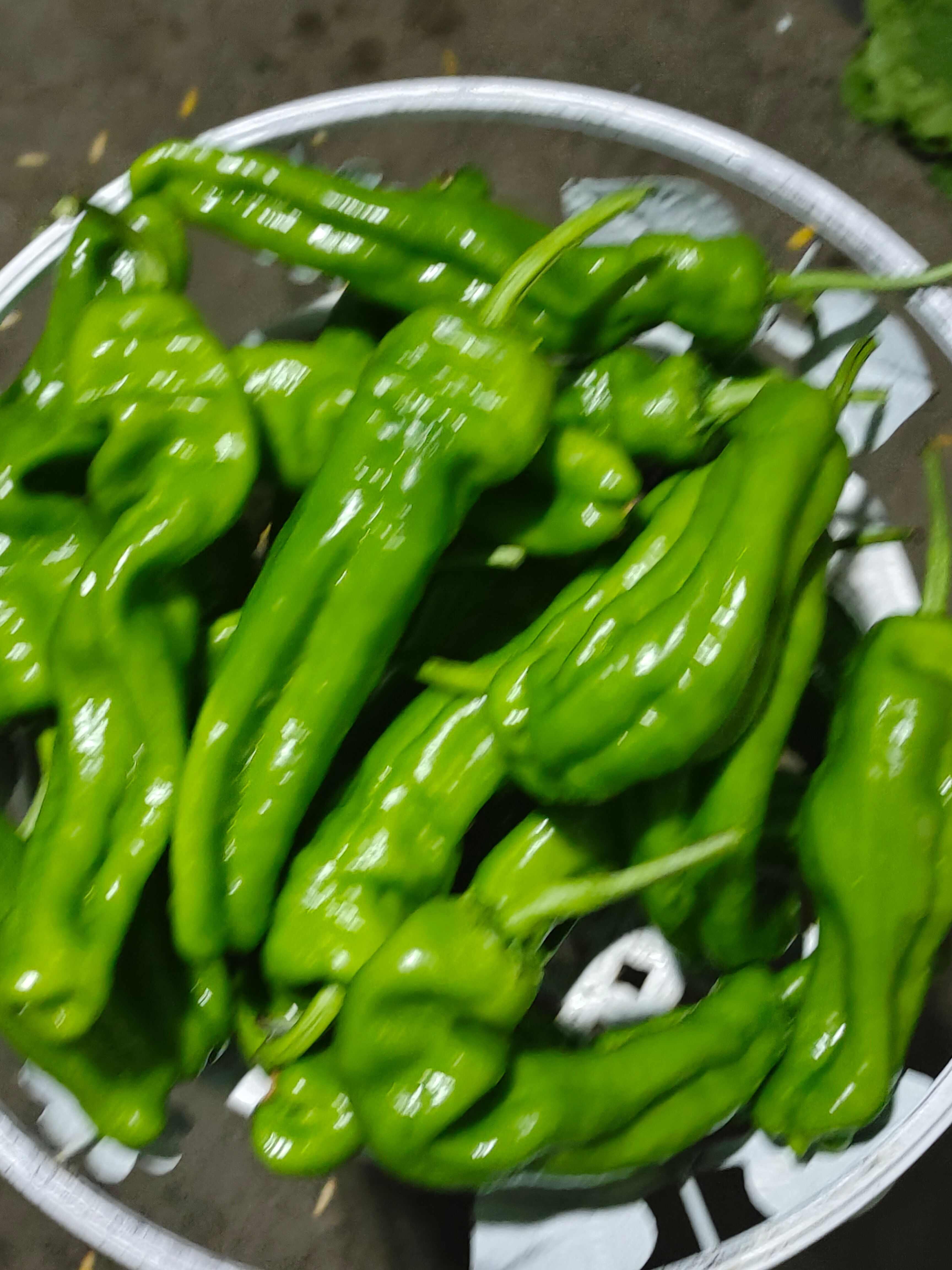 青椒