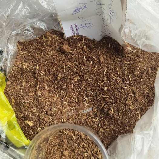 2024茶麸用于鱼塘消毒，清除杂鱼.福寿螺更有好的肥水供销，