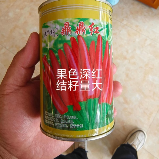 扶沟县鼎鼎红朝天椒种子早熟果色深红结籽量大长9-10厘米粗