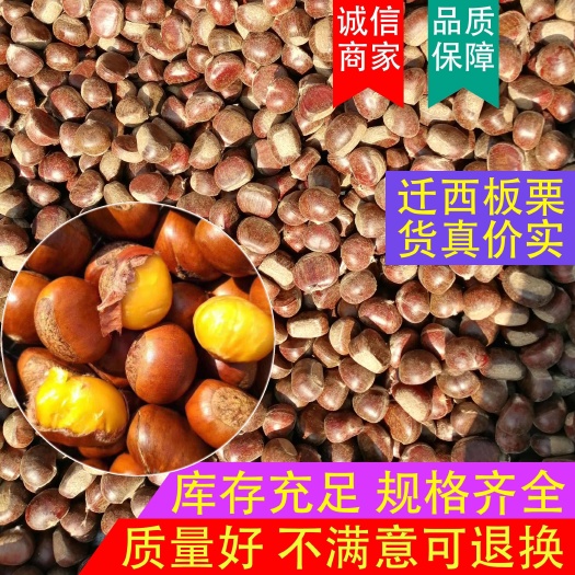 【24年好板栗】迁西板栗3113 质量好不掺假 口感软糯香甜