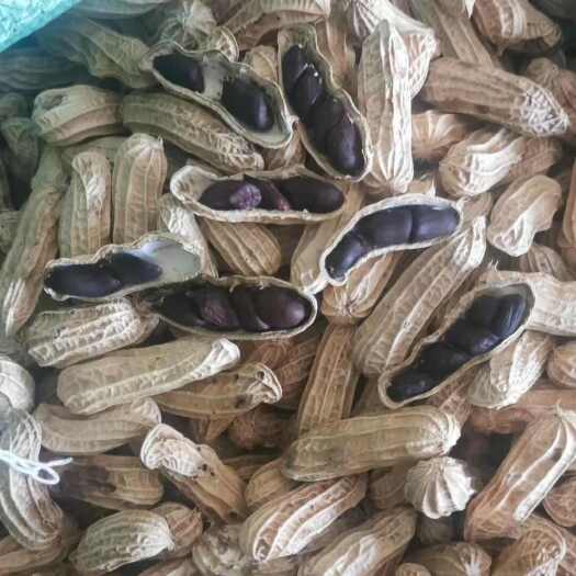 昆明云南孟连七彩花生新鲜干制农产品批发
