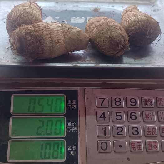莱阳市大果      通货都有，欢迎选购，主营代收。