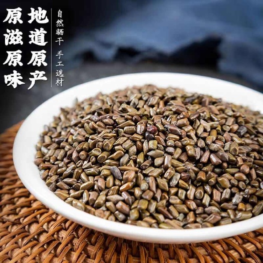 菏泽决明子500g生决明子熟决明子茶炒决明子沙滩枕芯