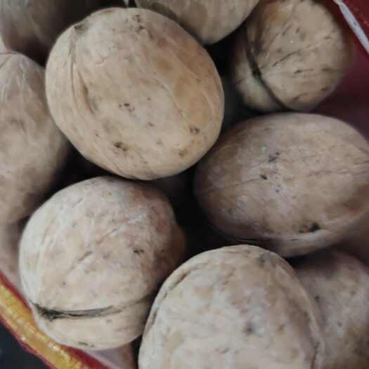 叶城县核桃