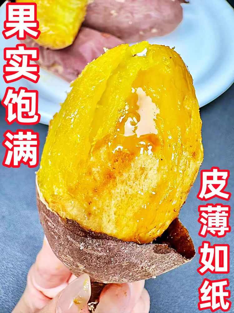 蜜薯