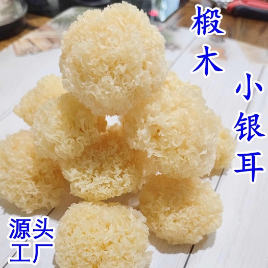 椴木银耳新货无硫小银耳仿野生椴木小银耳非丑耳产地直销量大从优