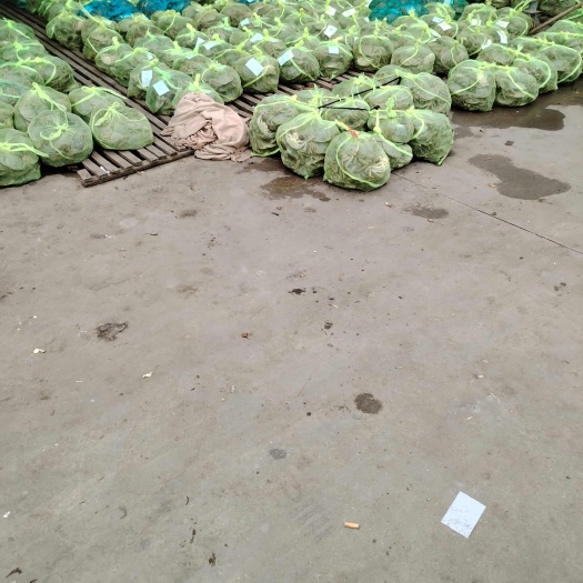 当涂县高淳残蟹