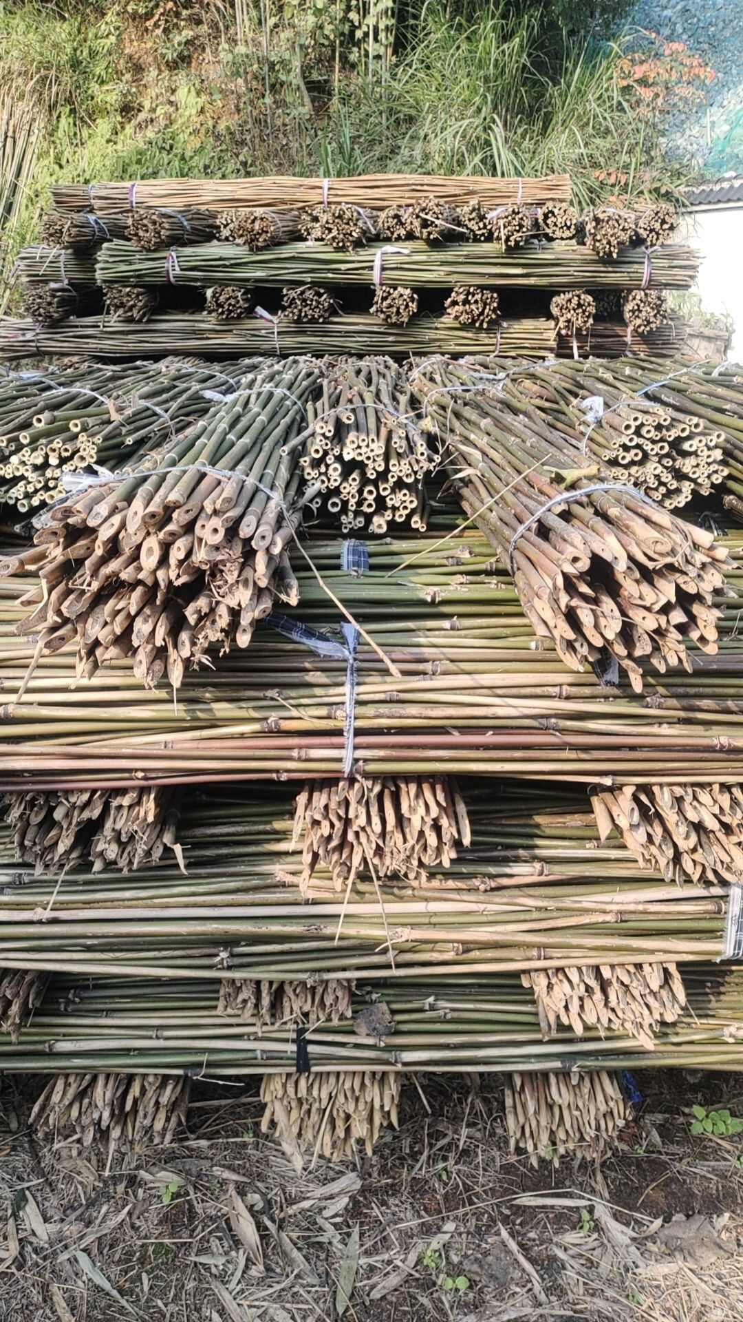 批发竹竿子毛竹