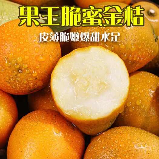 融安县广西融安脆蜜金桔融安县地理标志性农产品产地直批纯甜水果