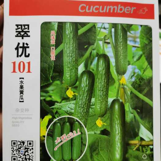 翠优101水果黄瓜种子 翠冠水果黄瓜特色好吃