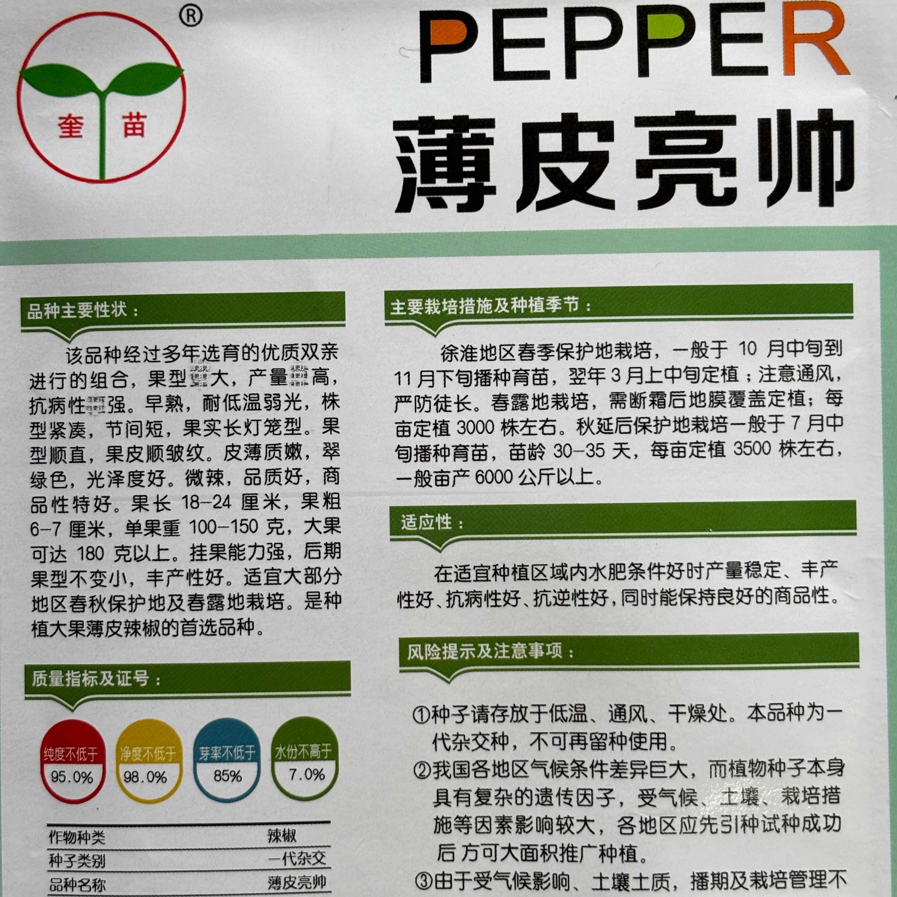 薄皮亮帅薄皮椒种子早熟大果抗病高产大果薄皮泡椒春秋季辣椒种孑