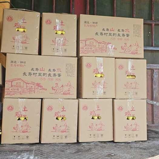 钟祥市山林放养土鸡蛋