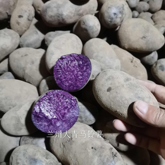 黑土豆，大青薯1号