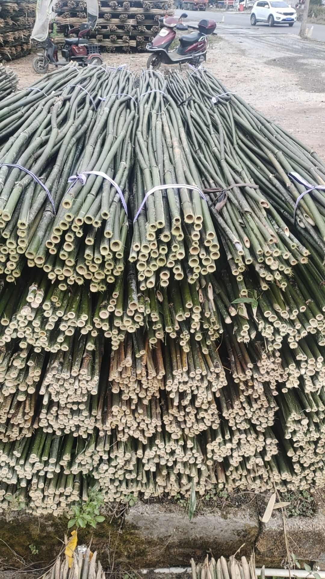 批发竹竿子毛竹