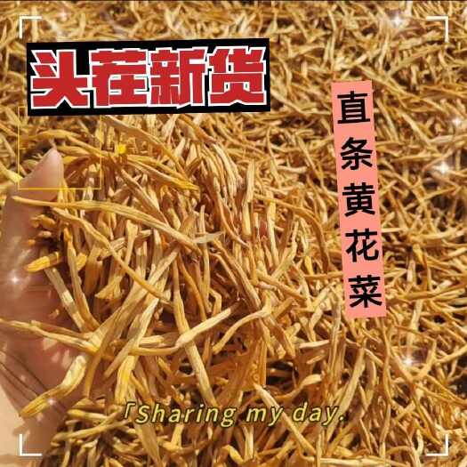 大荔县大荔当季直条黄花菜条直干度好