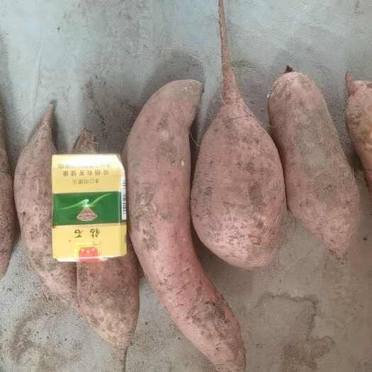 新乐市河北省新乐