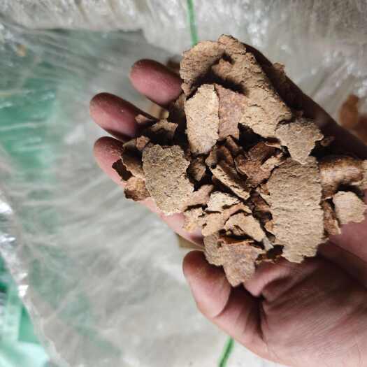 中山市纯肉花生麸。新鲜花生麸。遇水融化。每天生产1000斤保证新鲜