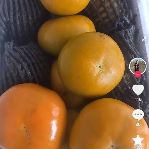 合阳县阳丰脆柿，