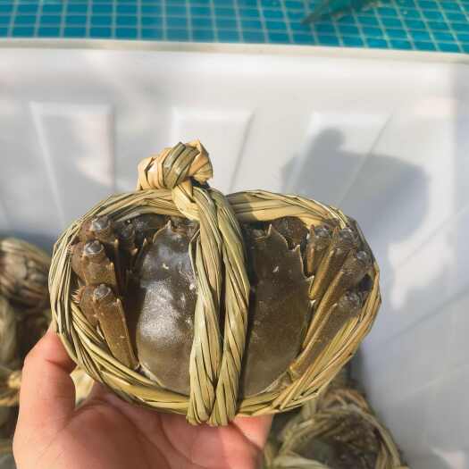 盐城兴化精品大闸蟹