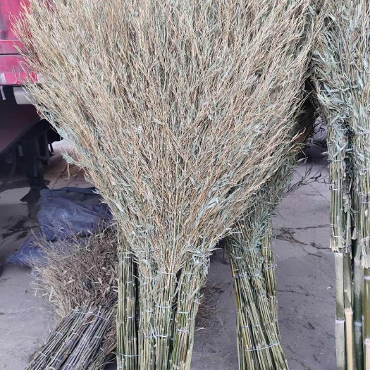 昆明竹扫把马路扫把带插销加大款