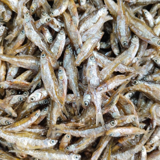 柳州小白条