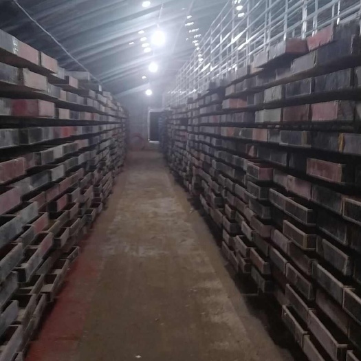 黄粉虫养殖，黄粉虫批发供应