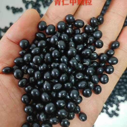 通辽青仁黑豆中颗粒