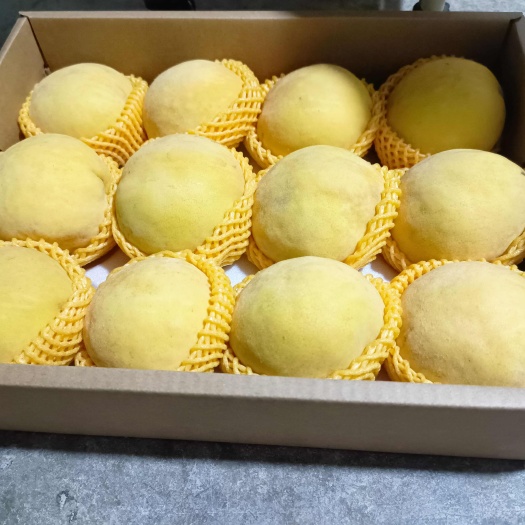 镇江黄桃新鲜水果当季整箱采摘发货
