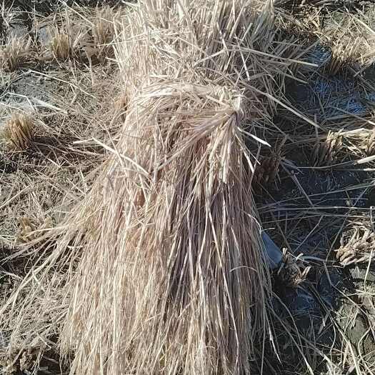 枝江市治沙稻草