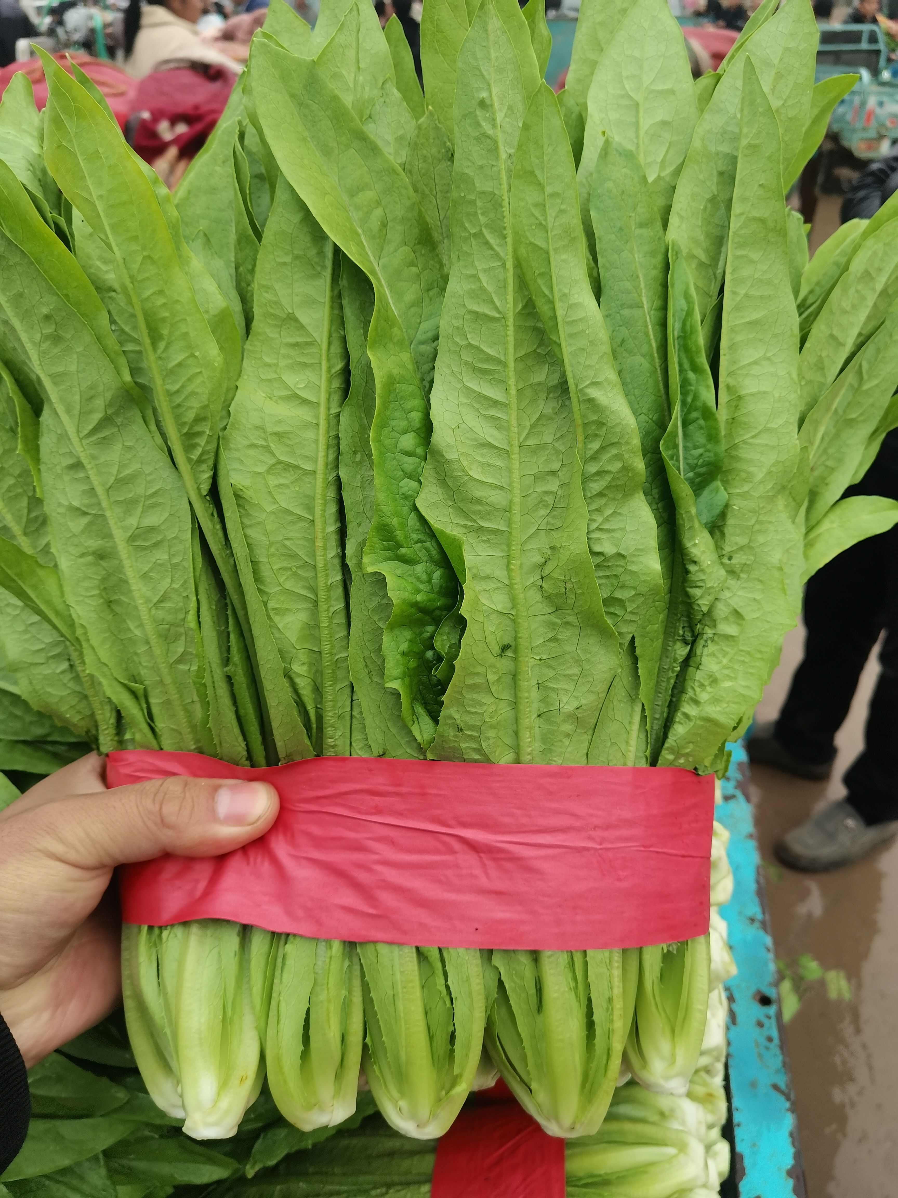 本地油麦菜有，粗，中，细颗都有，颜色绿，货源充足，价格美丽