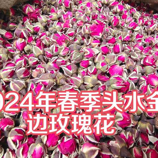 金邊玫瑰花云南高原玫瑰小玫瑰花整朵玫瑰